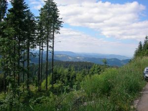 Gemeindefahrt in den Schwarzwald 2014
