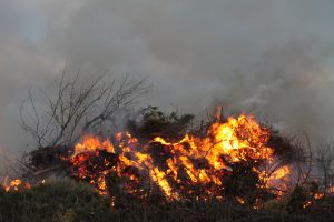 Osterfeuer 2016