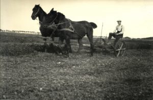 Buurkeree in Ostfreesland 1929