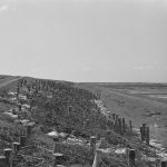 Deichausbesserung 1962 Deichausbesserung 1962