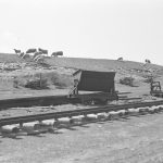 Deichausbesserung 1962 Deichausbesserung 1962