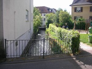 Gemeindefahrt in den Schwarzwald 2014