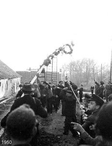 Groothusen Maibaum Aufstellen