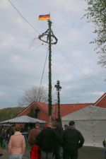Maibaum 2018