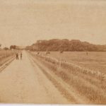 Landstraße von Pewsum nach Groothusen